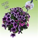 Afbeelding van Hp27 multi mix a grape fit new
